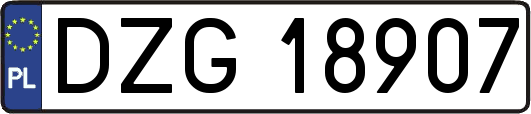 DZG18907