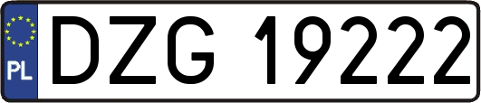 DZG19222