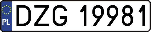 DZG19981