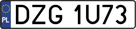 DZG1U73