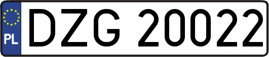 DZG20022