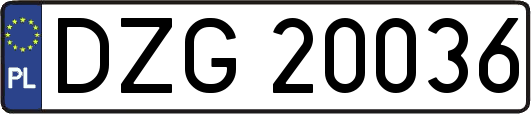 DZG20036