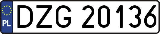 DZG20136