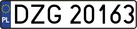 DZG20163