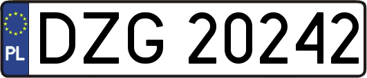 DZG20242