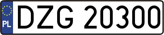 DZG20300