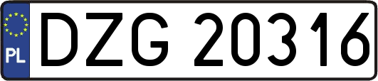 DZG20316