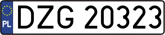 DZG20323