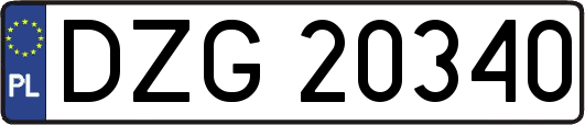 DZG20340