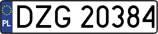 DZG20384