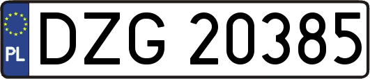 DZG20385