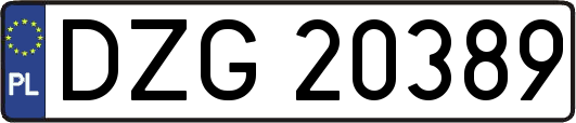 DZG20389