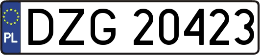 DZG20423