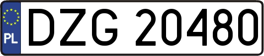 DZG20480