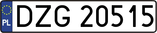 DZG20515