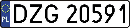 DZG20591