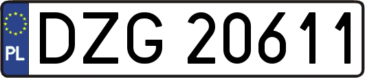 DZG20611