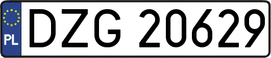 DZG20629
