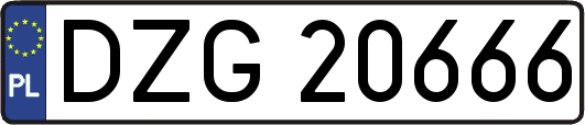 DZG20666