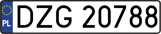 DZG20788