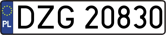 DZG20830