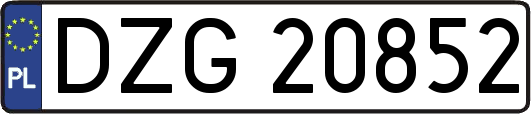 DZG20852