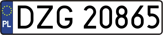 DZG20865