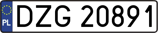 DZG20891