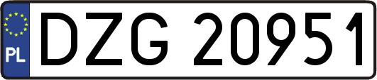 DZG20951