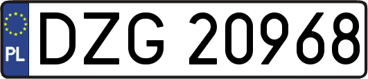 DZG20968