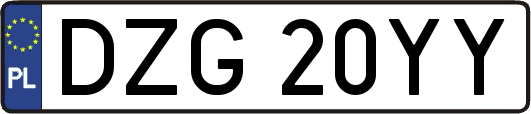 DZG20YY