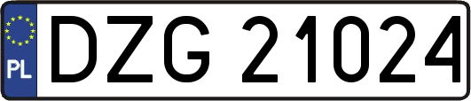 DZG21024