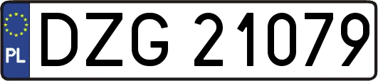 DZG21079