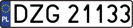 DZG21133
