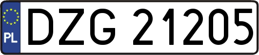 DZG21205