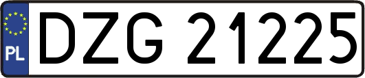 DZG21225