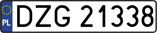 DZG21338