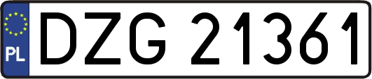 DZG21361