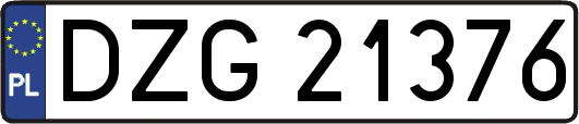DZG21376