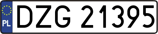 DZG21395
