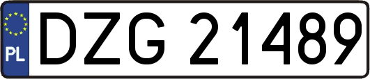 DZG21489