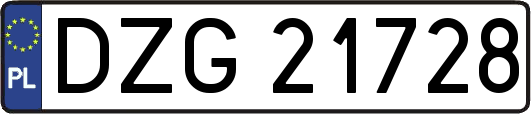 DZG21728