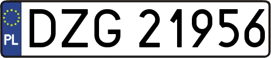 DZG21956