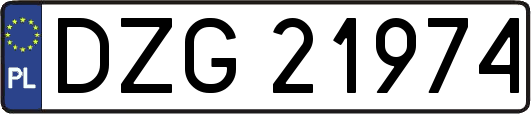 DZG21974