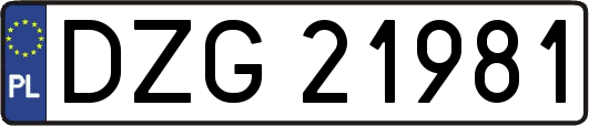 DZG21981