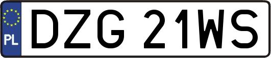 DZG21WS