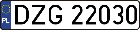 DZG22030