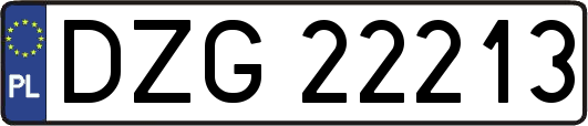 DZG22213