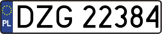 DZG22384