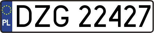 DZG22427